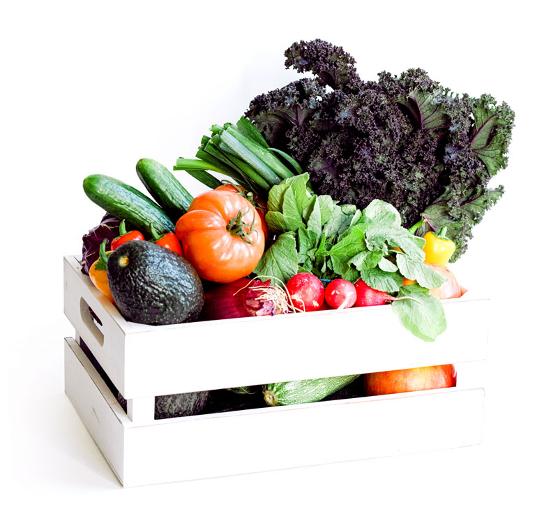 LES LÉGUMES LA PLATEFORME CHR