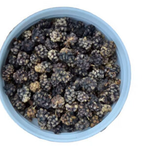 Mûre sauvage du Pandshir Format de chef 1 kg