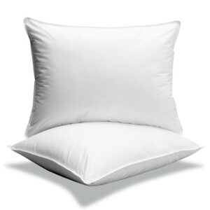 Oreiller Microfibre